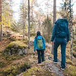 Forest Ainola Next To Nuuksio National Park, In Addition Hot Tub And Breakfast Otalampi