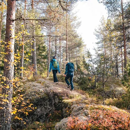 Forest Ainola With View Next To Nuuksio National Park *