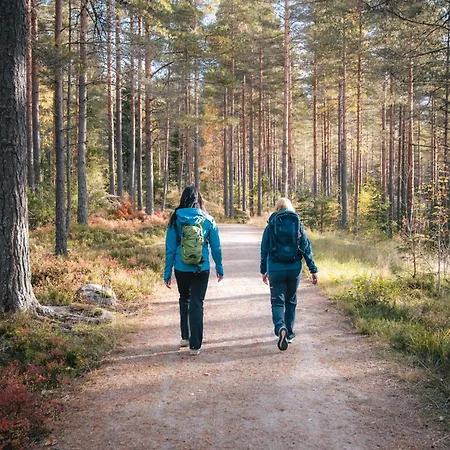 Forest Ainola With View Next To Nuuksio National Park Otalampi